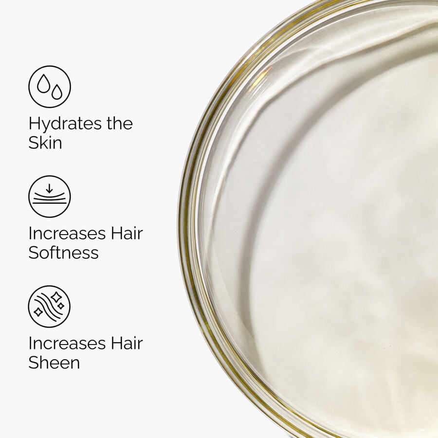 100-organic-cold-pressed-moroccan-argan-oil-y0 FY25-D41247-ORD-Web-PDP-100-Argan-Oil-1x1-EN-3.jpg
